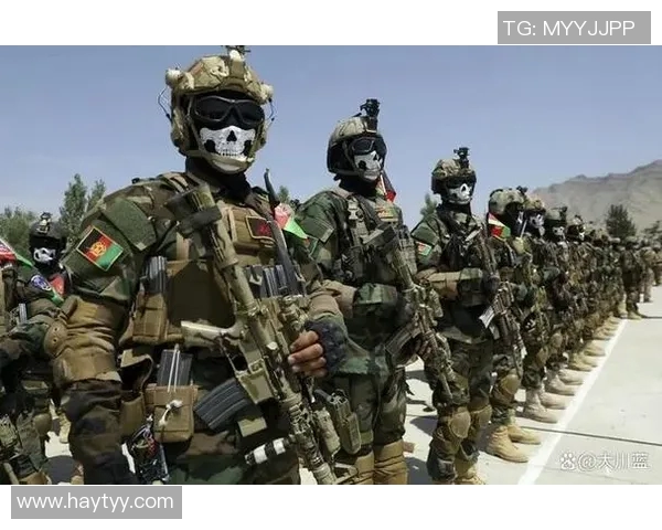 热议CSGOEDG团队协作变革如何提升战斗力与战术执行效率