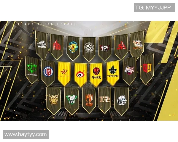 电竞实时数据分析和平精英配合排行榜LNG荣登第三名引发关注